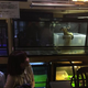 Image for article titled A Look Inside Japan's Reptile Cafes